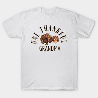 One thankful grandma T-Shirt